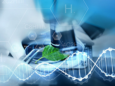 高精度玻璃球在生物實驗領(lǐng)域應(yīng)用